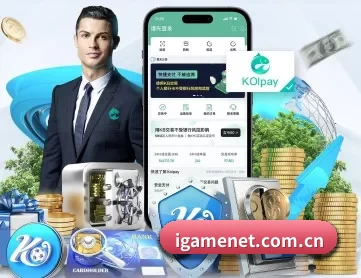 爱游戏 APP 深度功能